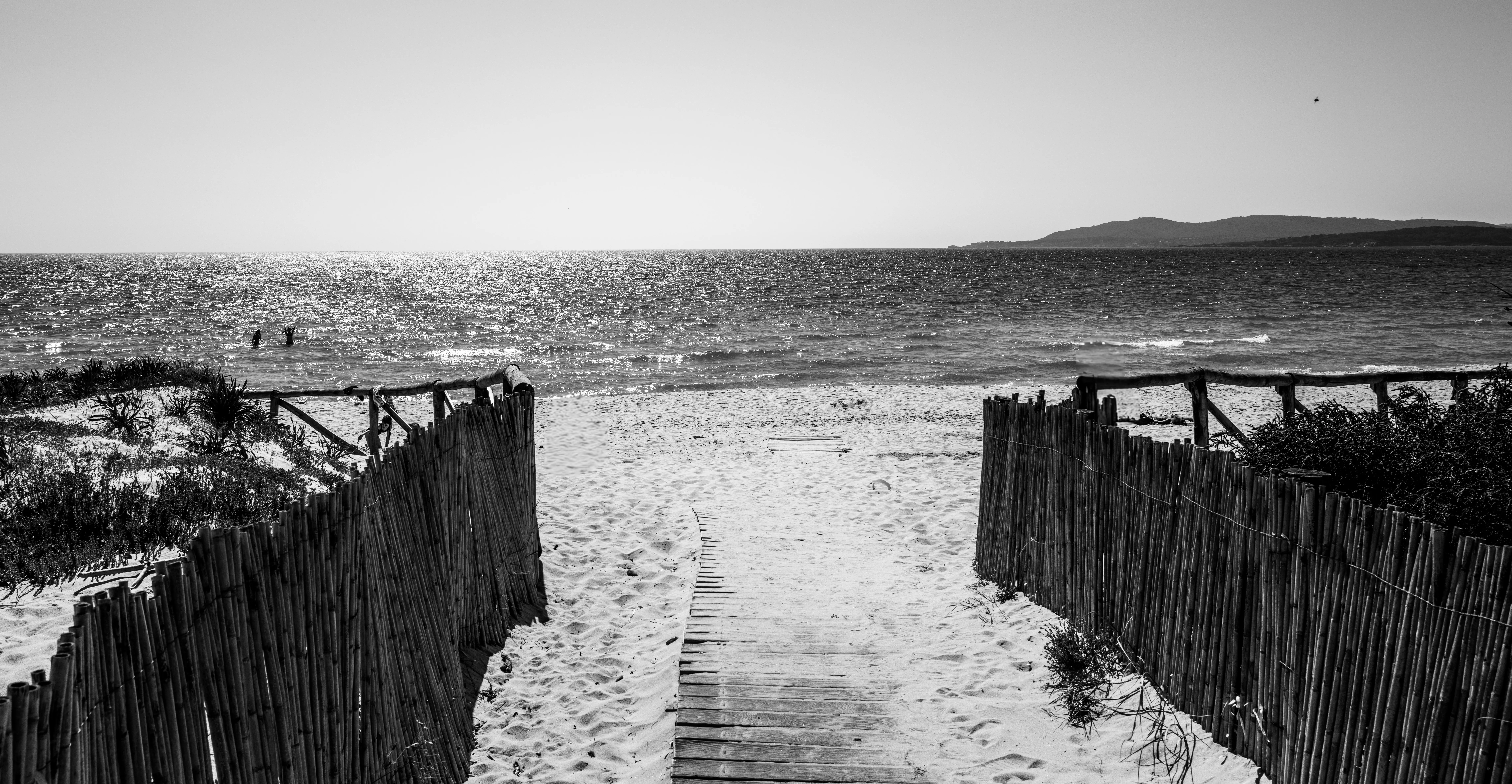 Path to the Sea