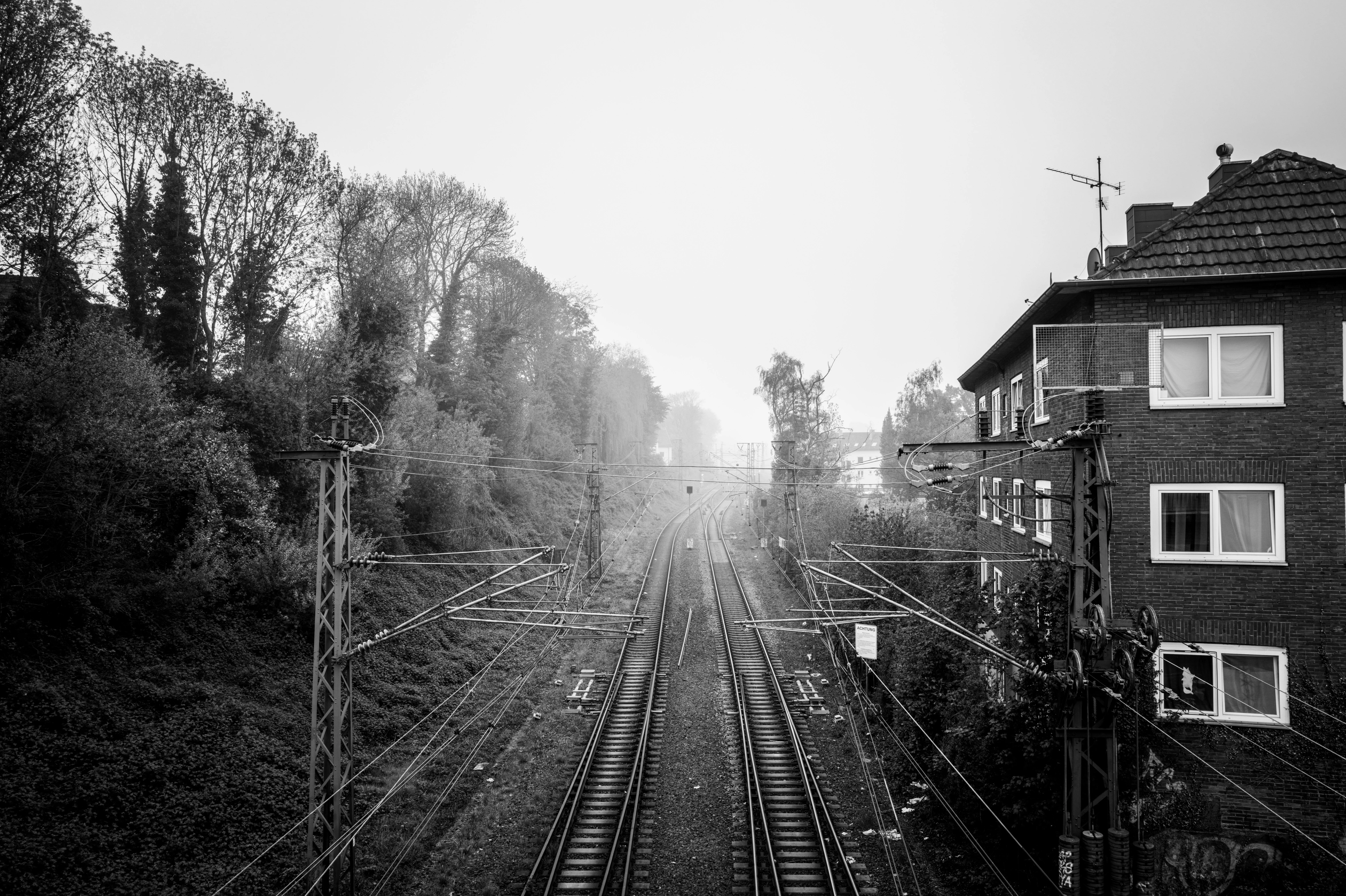 Lines in the Mist