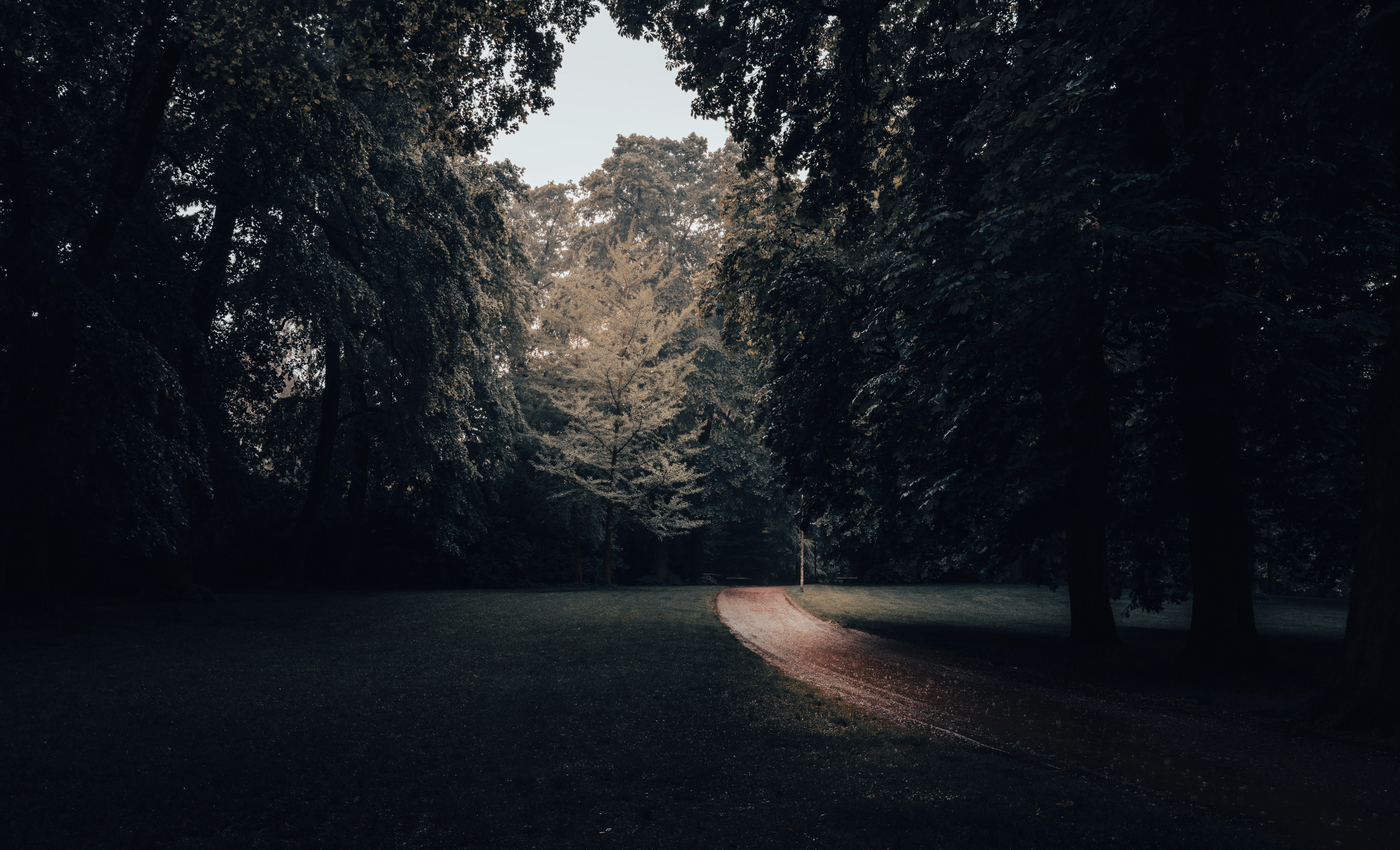 The Light Ahead